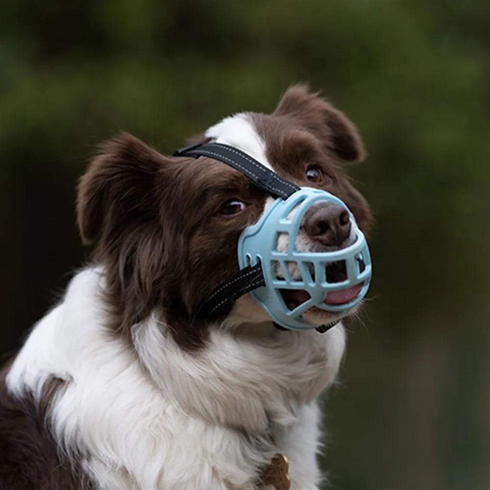 Rọ mõm chó kiểu dáng