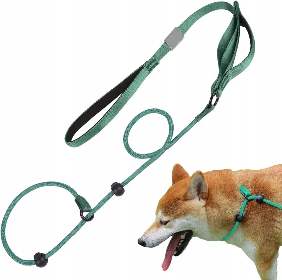 Dây dắt chó huấn luyện trượt