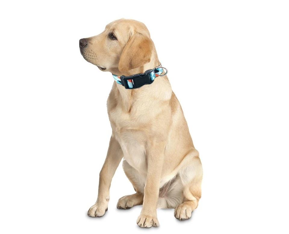 Geometry Dog Collar suppliers