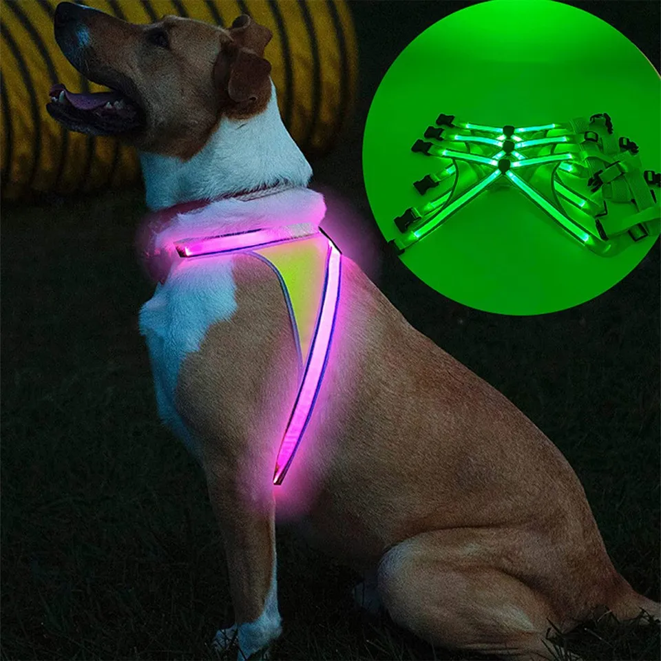 Glow in The Dark Dog khai thác