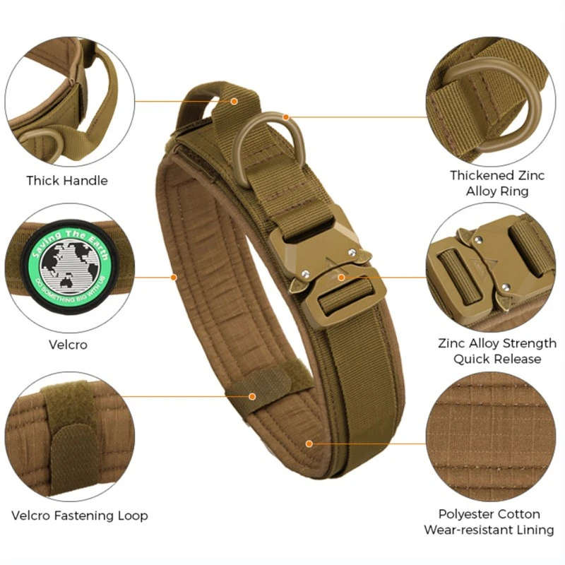 product-800-800