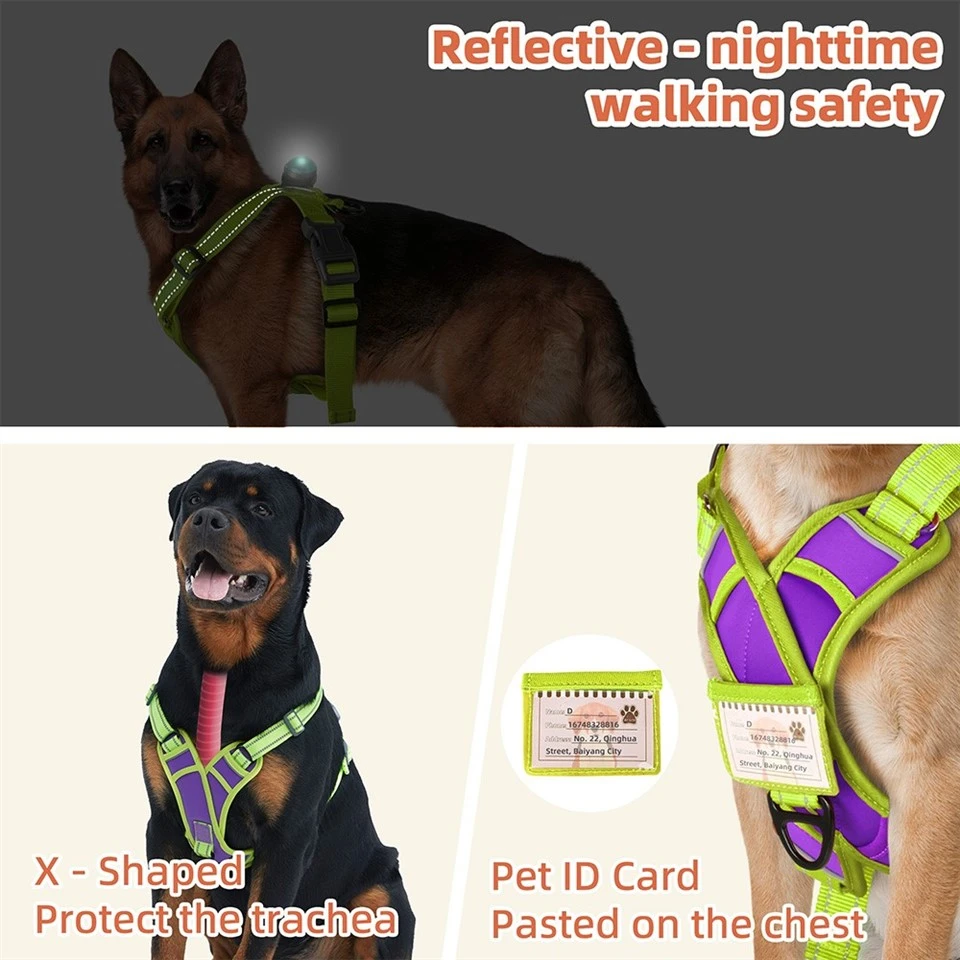 X Shaped Dog Harness best